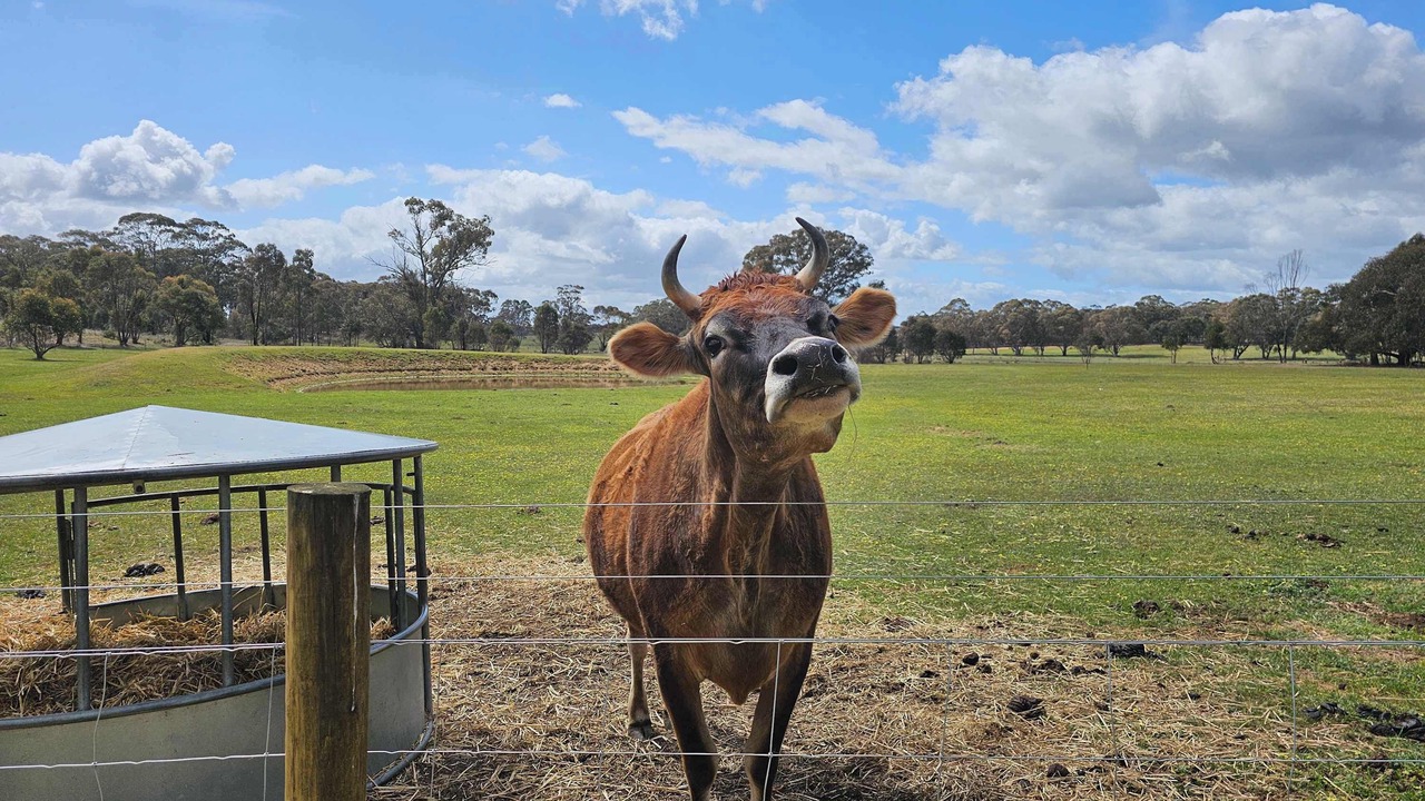 Photo of Others in Myrtle Creek