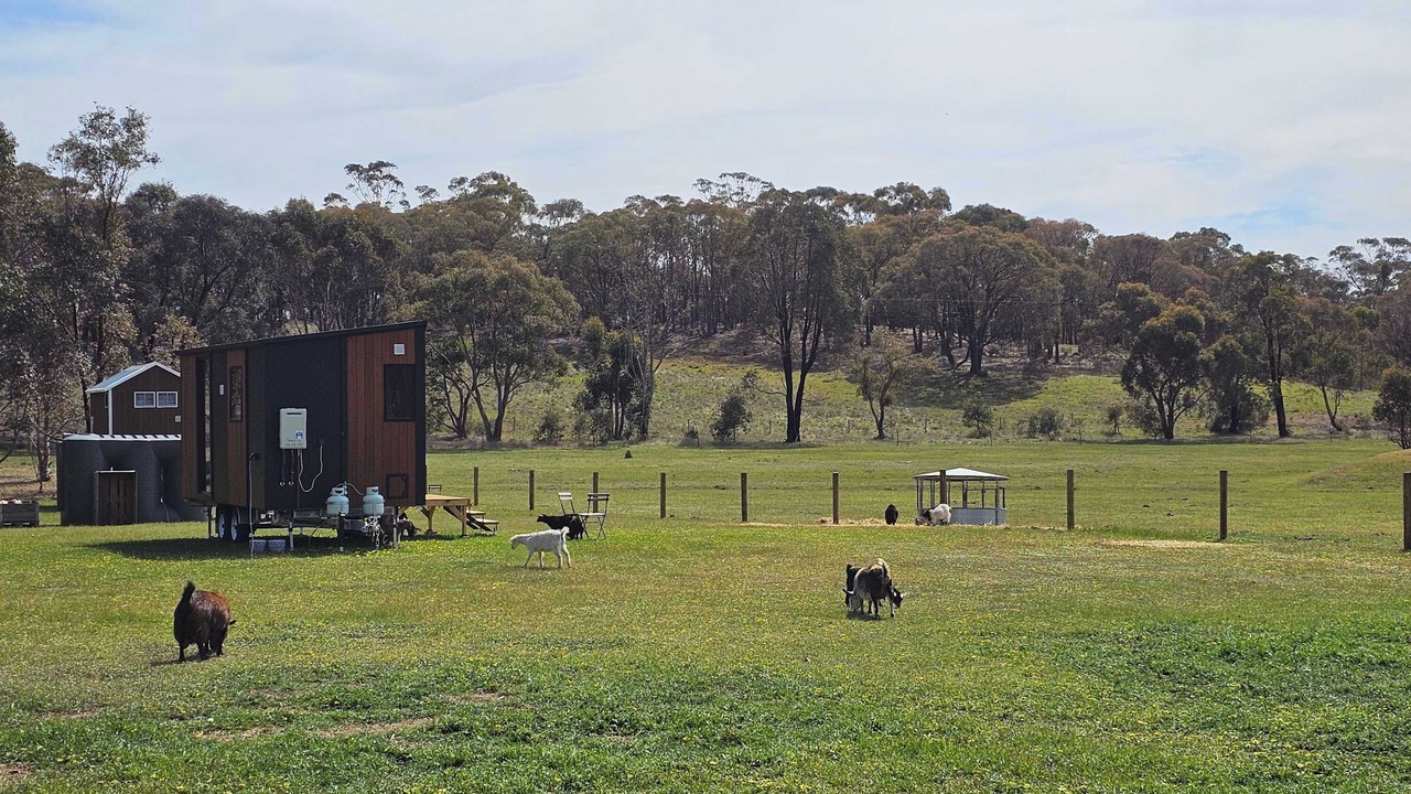 Photo of Outdoor in Myrtle Creek