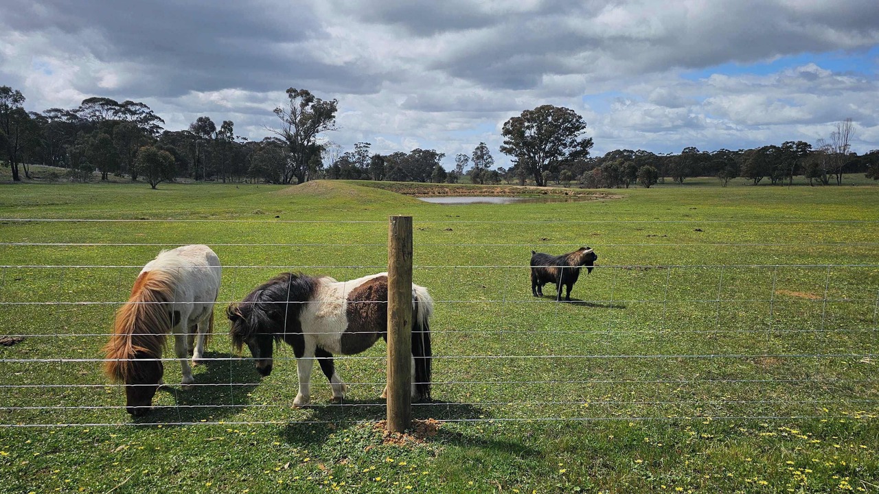 Photo of Others in Myrtle Creek