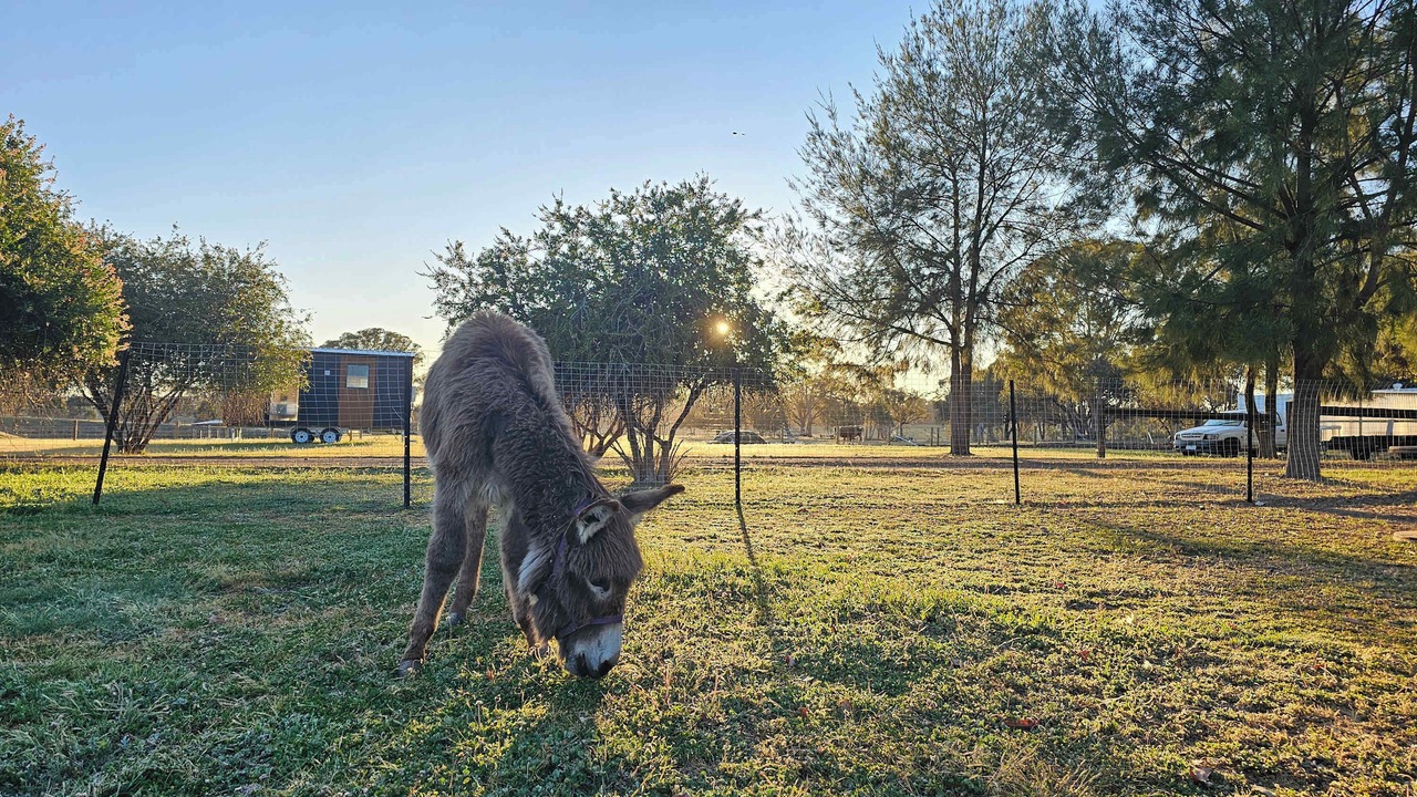 Photo of Outdoor in Myrtle Creek