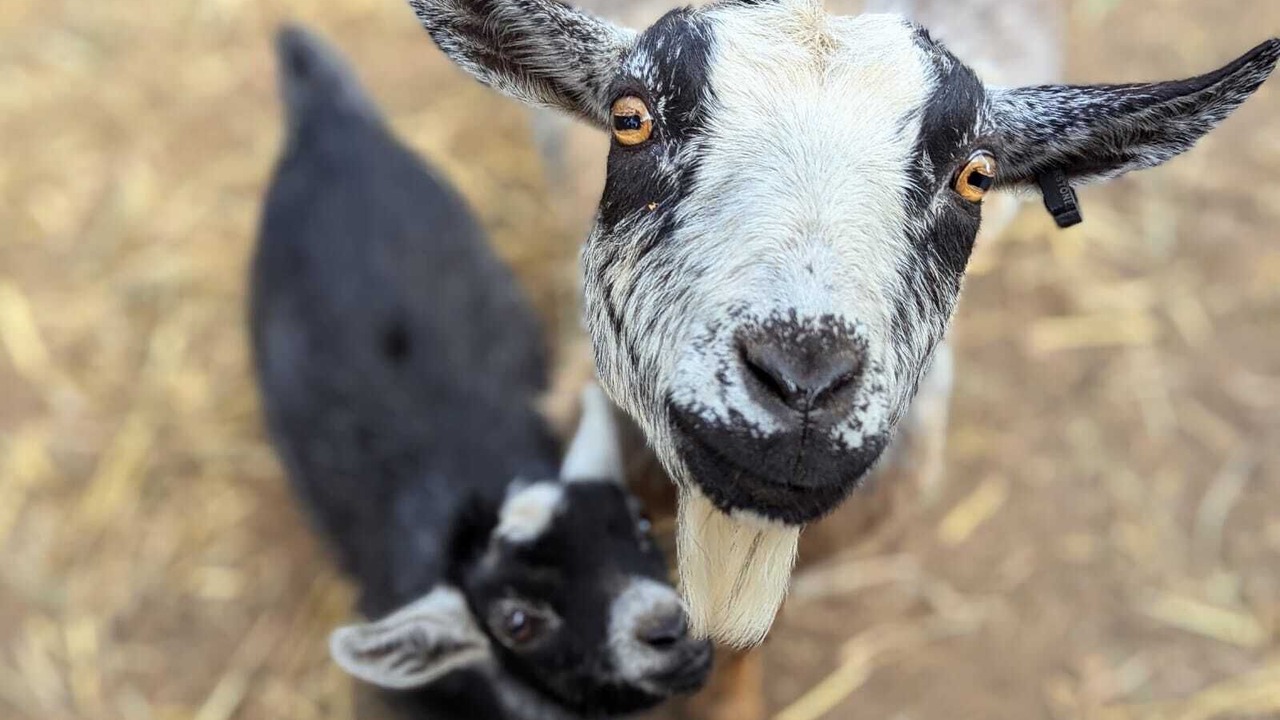 Photo of Others in Myrtle Creek