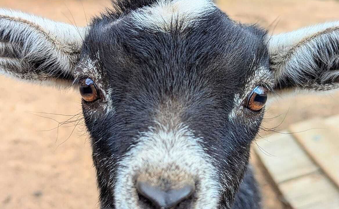 Photo of Others in Myrtle Creek