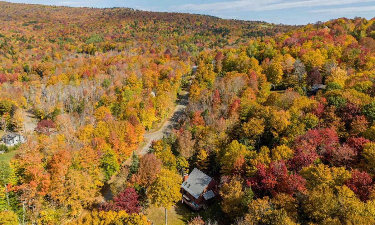 Photo of Others in West Dover