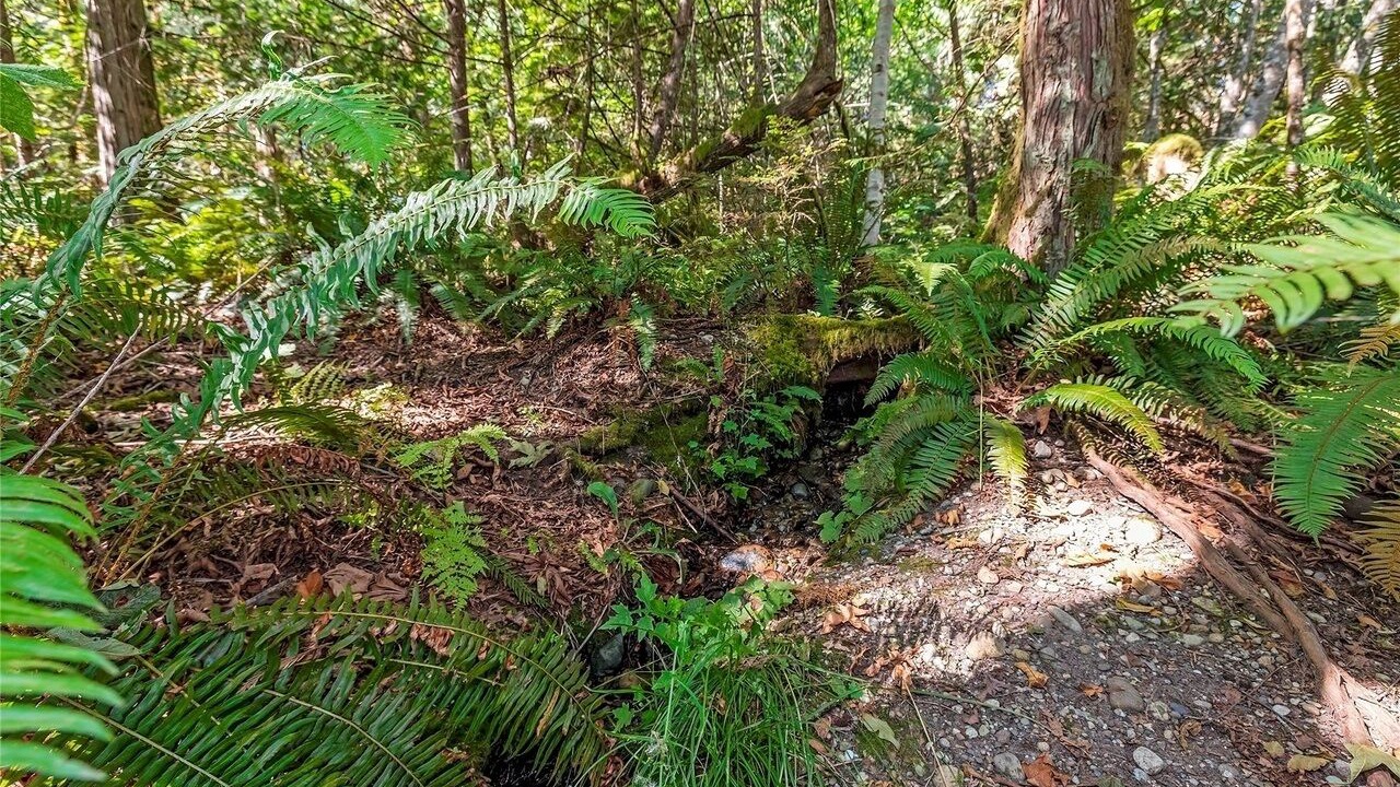 Photo of Others in Belfair