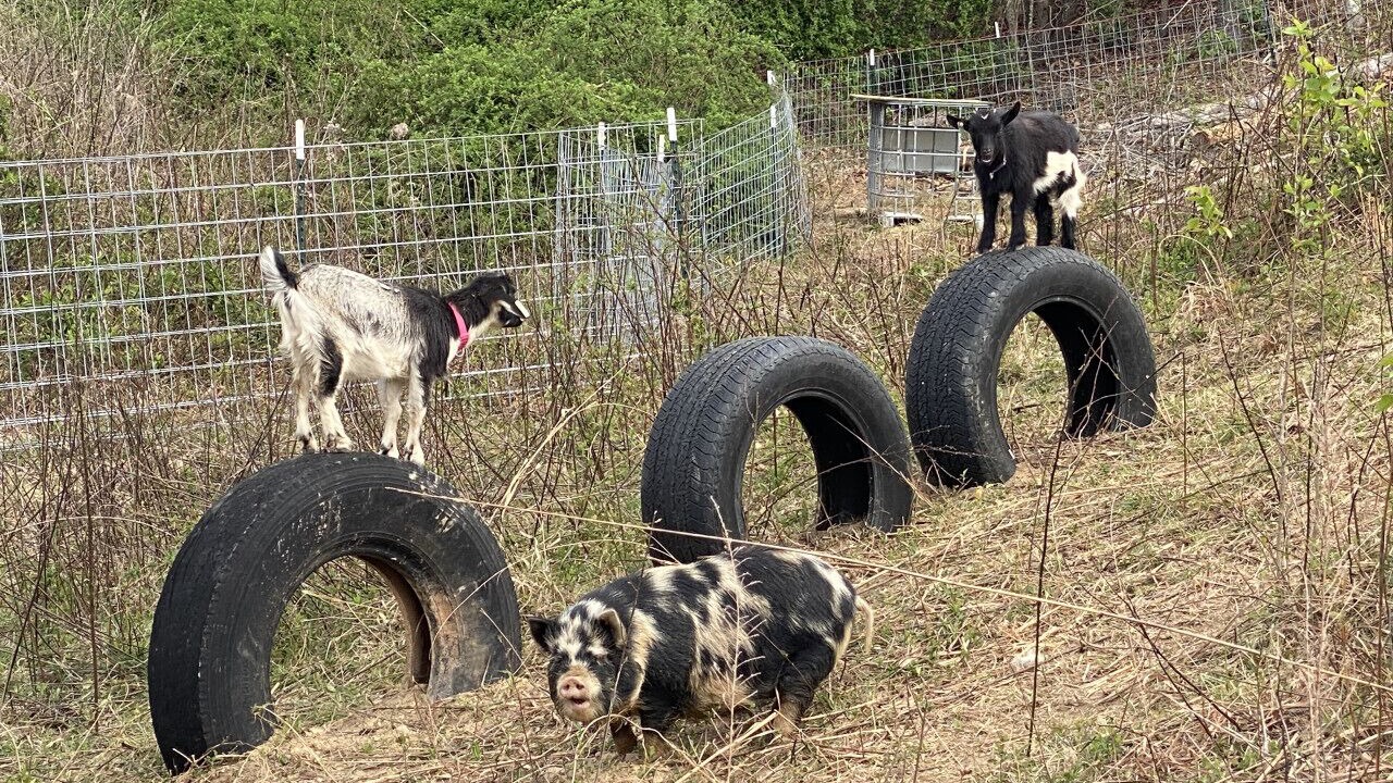 Photo of Others in Wilkesboro