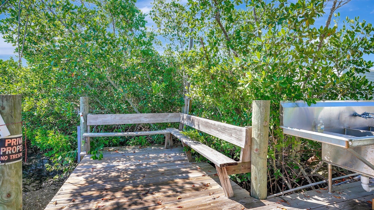 Photo of Others in Charlotte Park