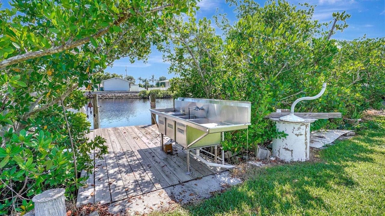 Photo of Others in Charlotte Park