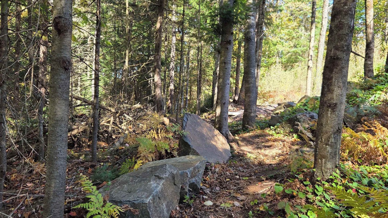 Photo of Others in Pine Hill