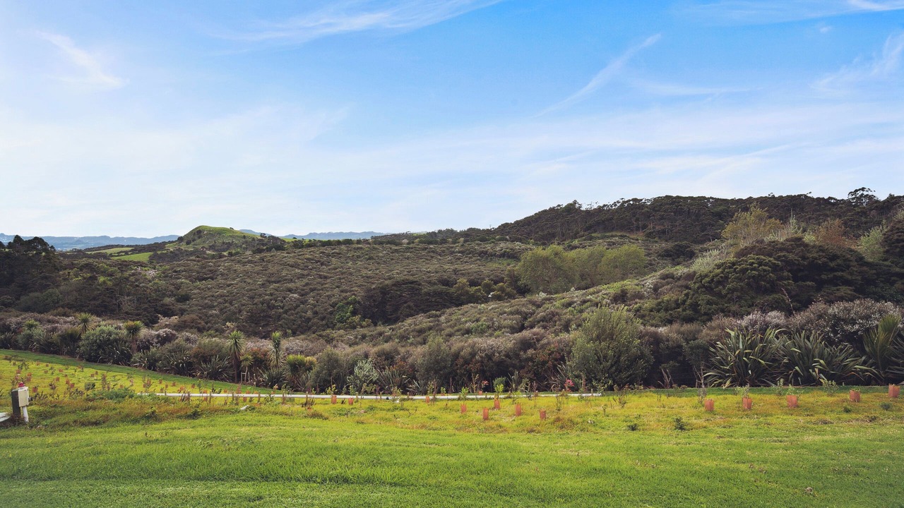 Photo of Others in Tawharanui