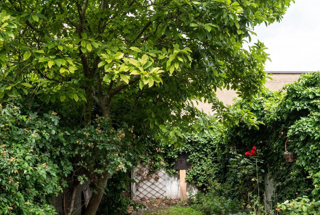 Photo of Outdoor in Broad Green