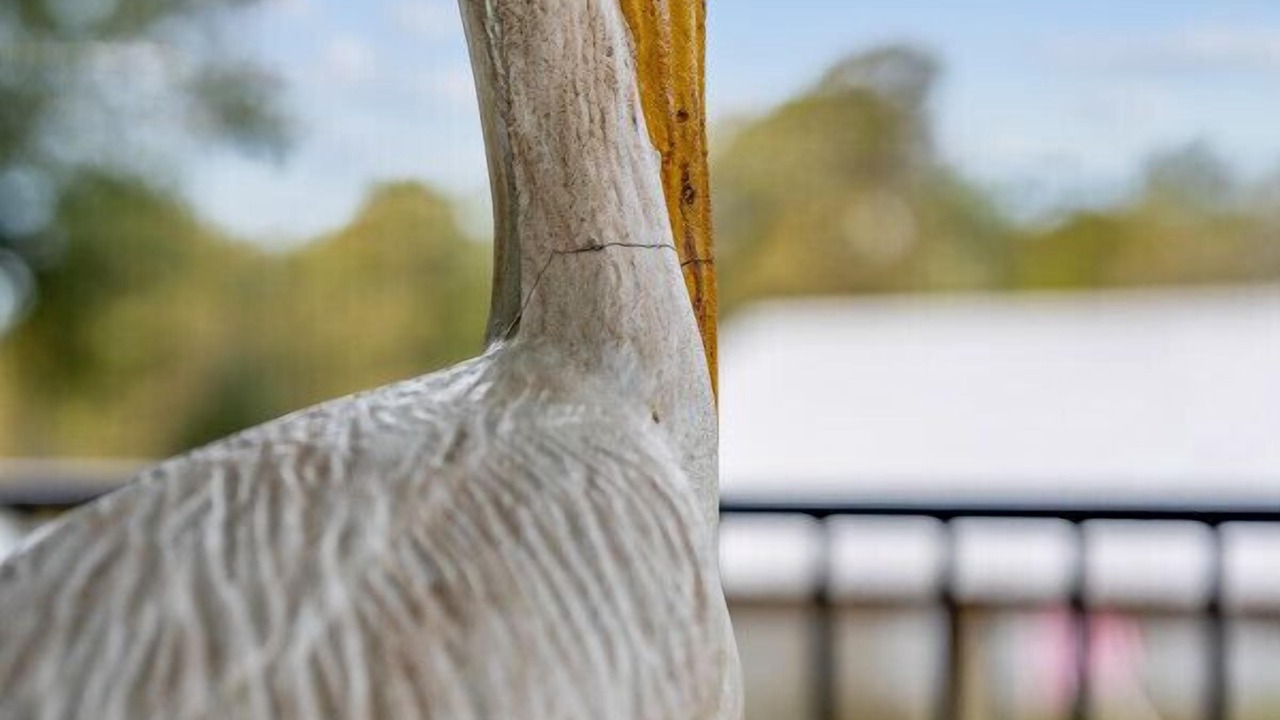 Photo of Others in Maurepas