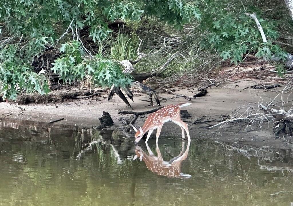 Photo of Others in Davis Wharf