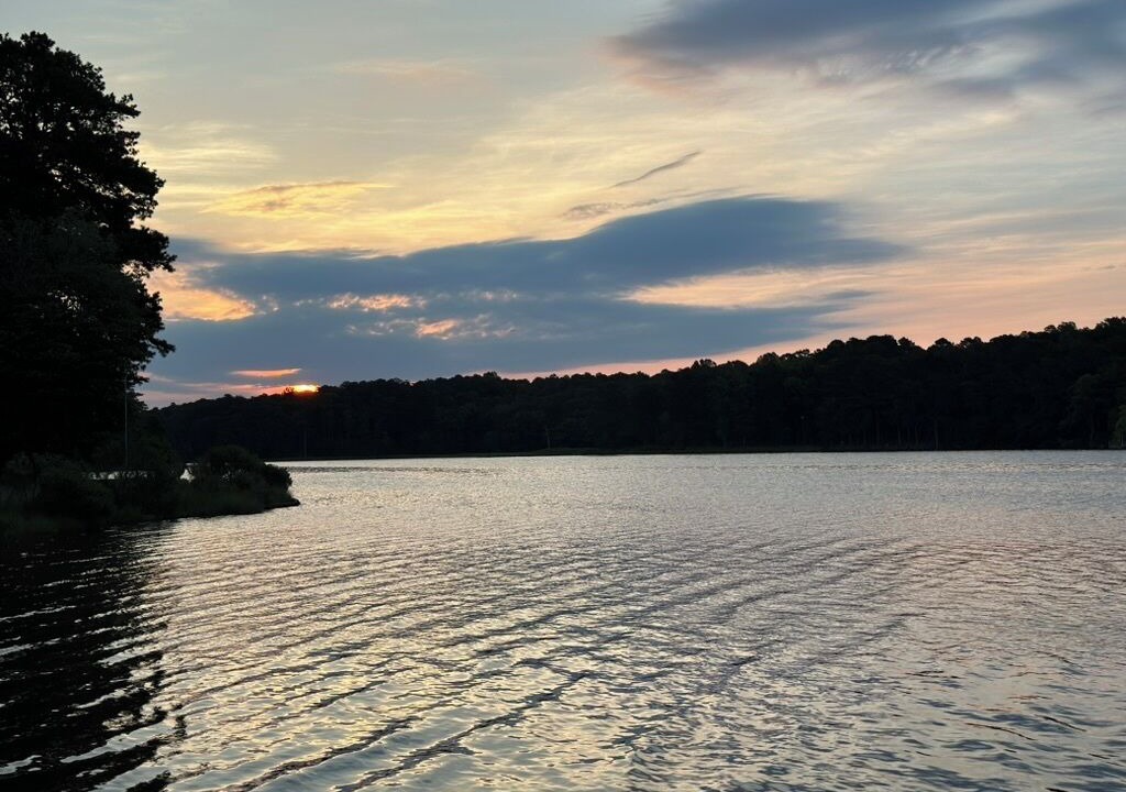 Photo of Others in Davis Wharf