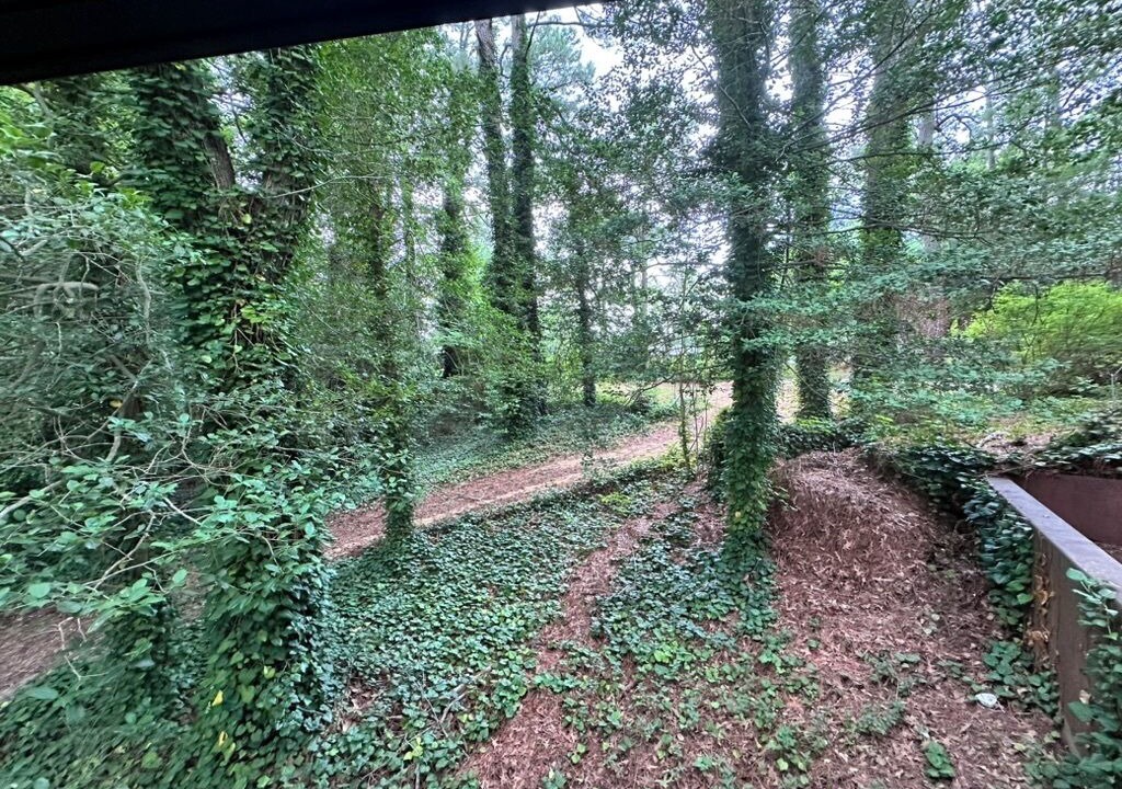 Photo of Outdoor in Davis Wharf