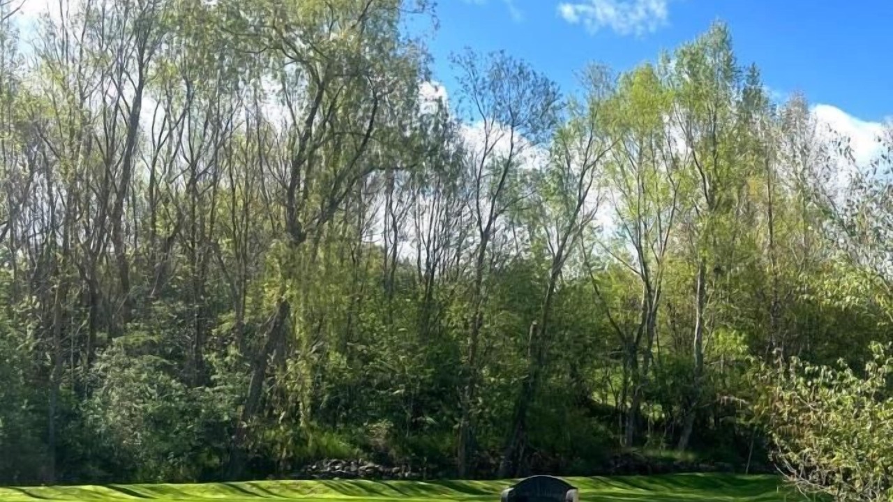 Photo of Outdoor in Estavar
