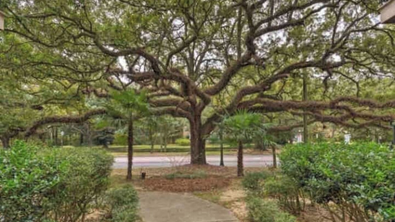 Photo of Others in Hannon Park