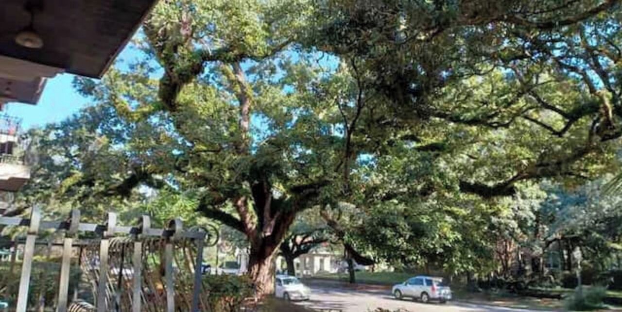 Photo of Outdoor in Hannon Park