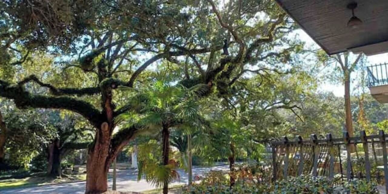 Photo of Outdoor in Hannon Park
