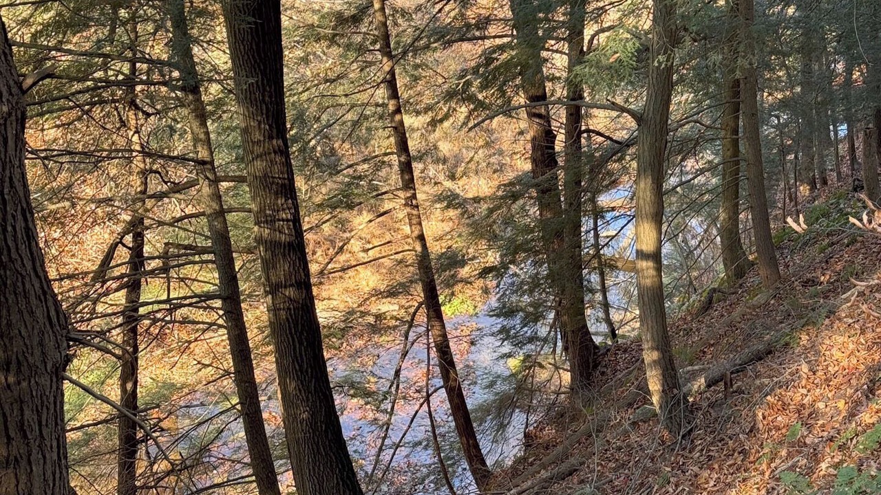 Photo of Others in Loudonville