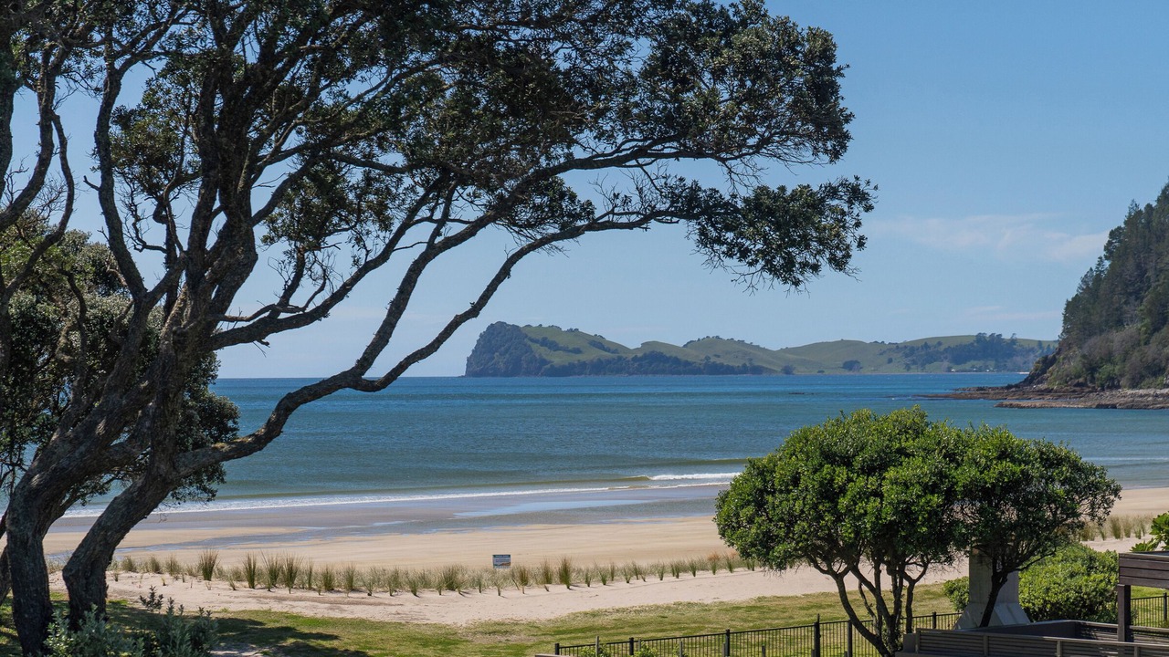 Photo of Others in Pauanui