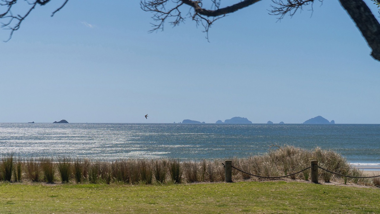 Photo of Others in Pauanui