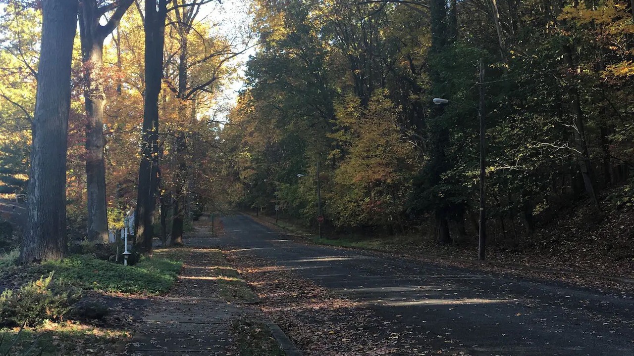 Photo of Others in Reading