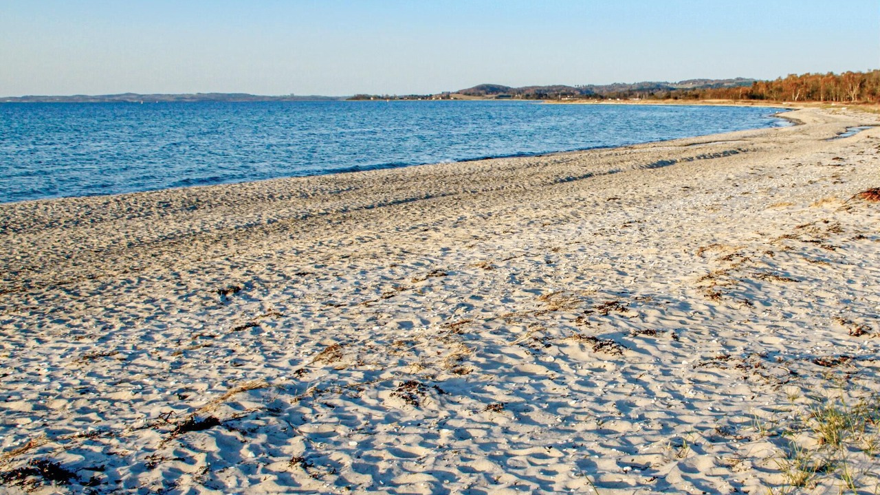 Photo of Others in Lyngsbæk Strand