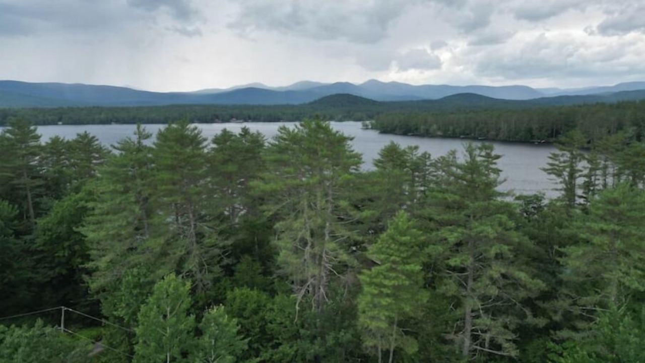 Photo of Others in Center Lovell