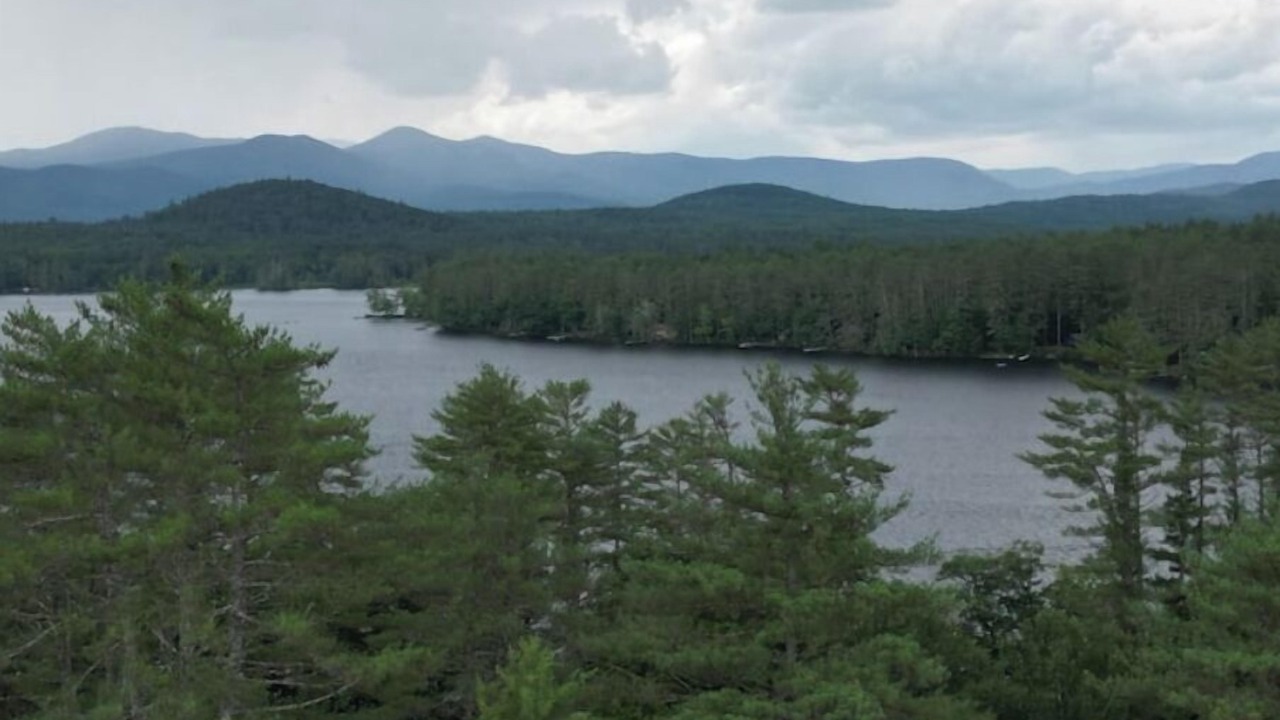 Photo of Others in Center Lovell