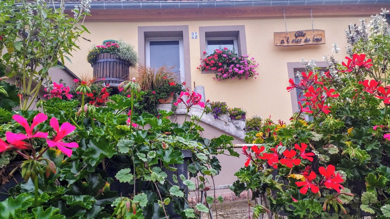 Photo of Outdoor in Soucht