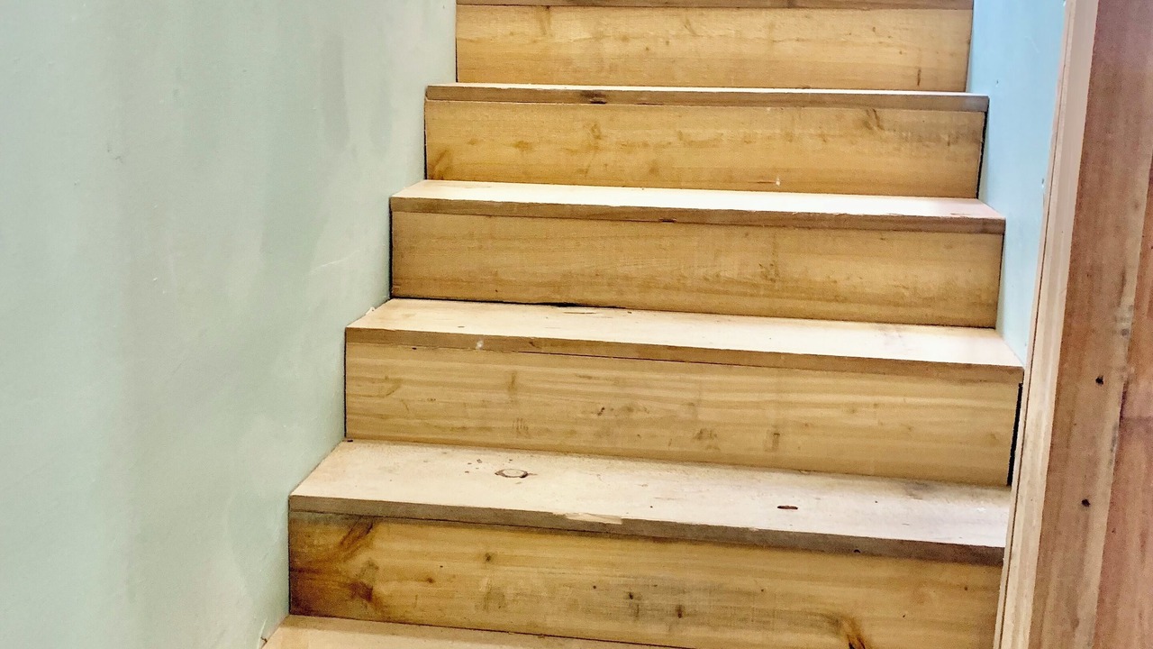 Photo of Others in Bristol