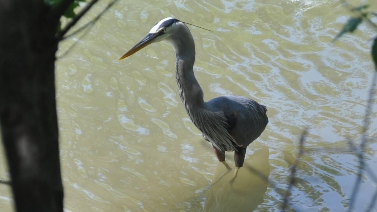 Photo of Others in Reedville