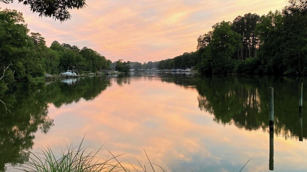 Photo of Others in Reedville