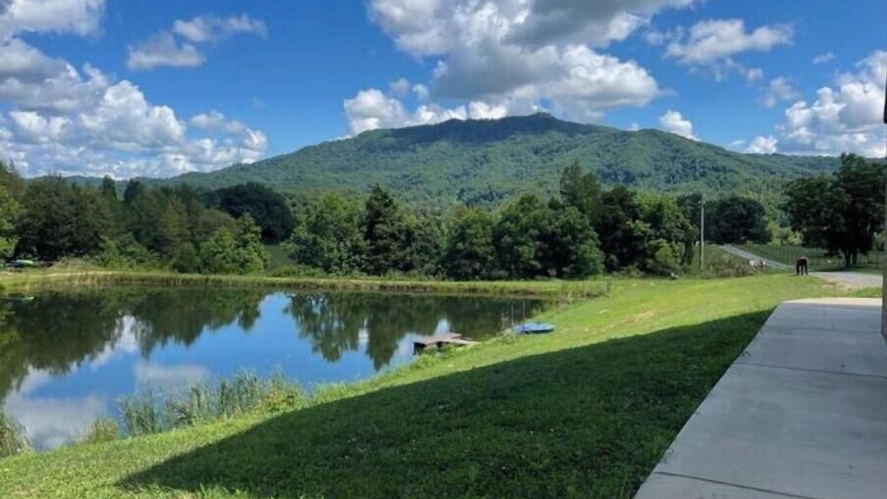 Photo of Outdoor in Rogersville