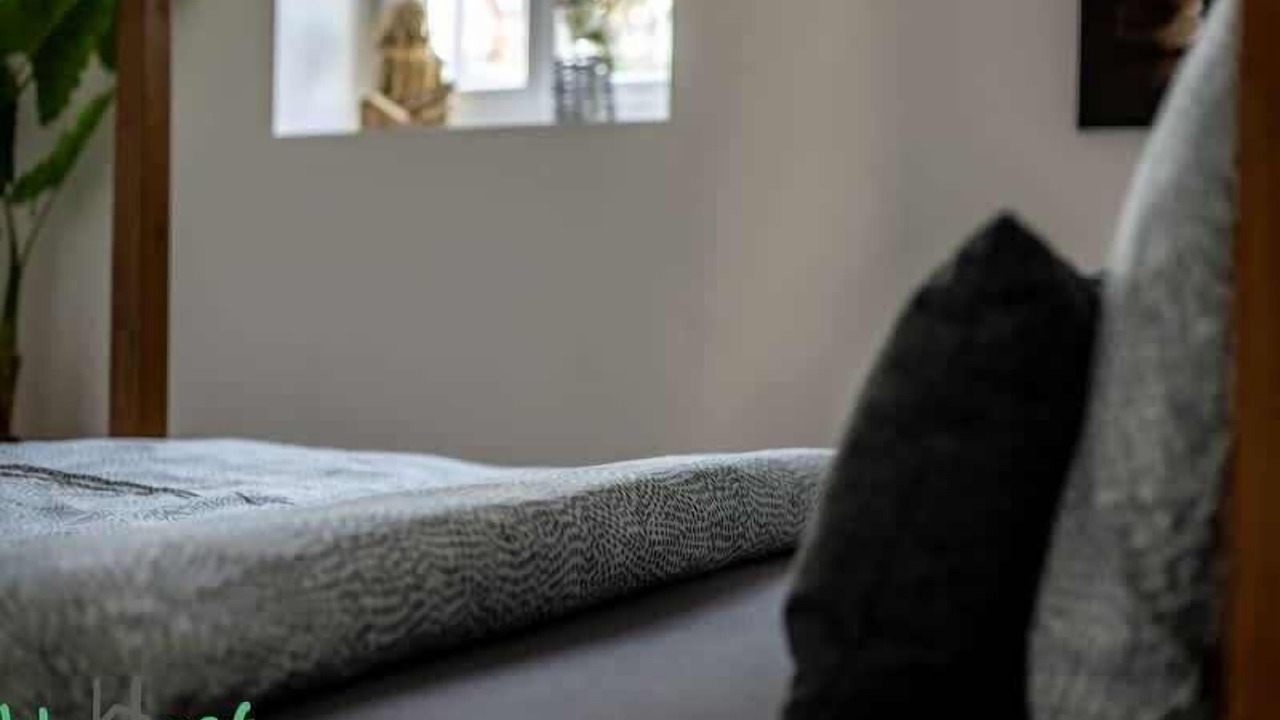 Photo of Others in Arras