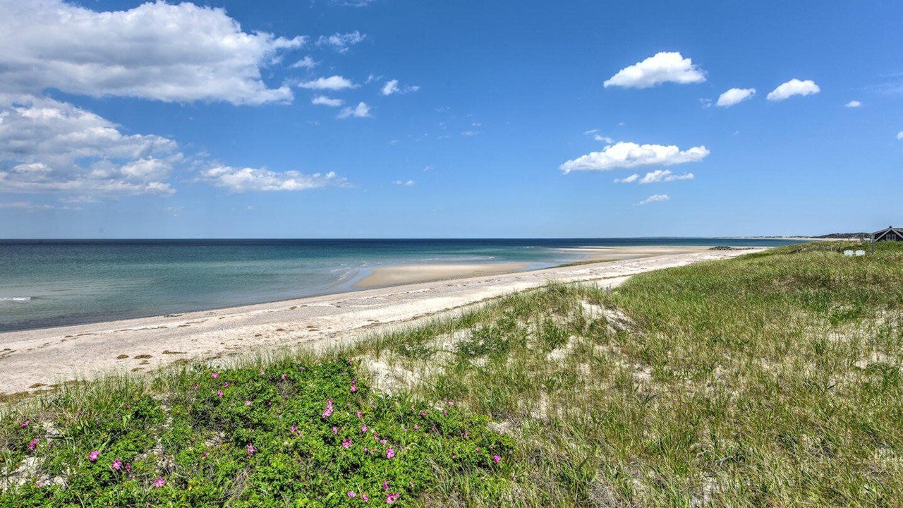 Photo of Others in East Sandwich