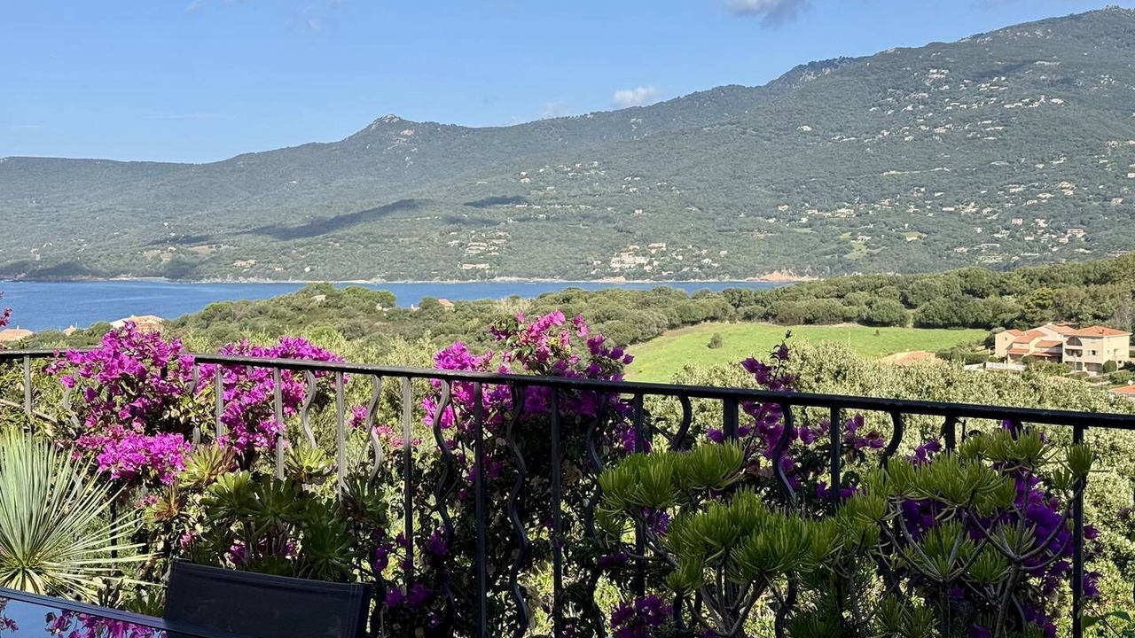 Photo of Outdoor in Propriano