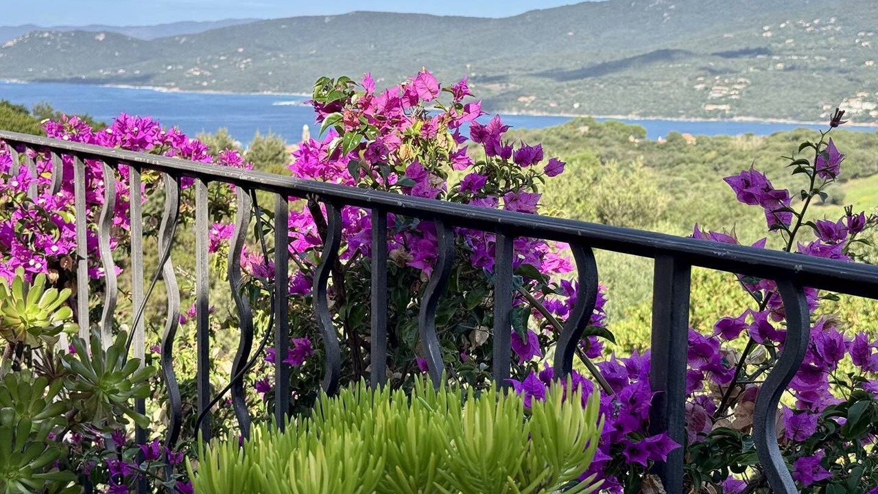 Photo of Outdoor in Propriano