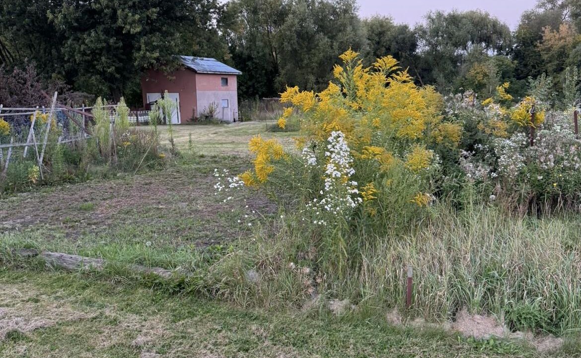 Photo of Outdoor in Brampton