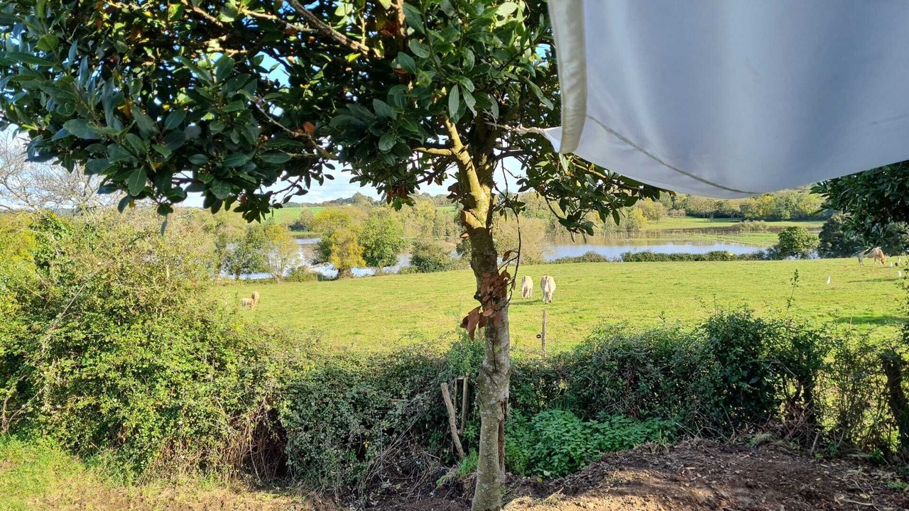 Photo of Outdoor in Port-Saint-Pere