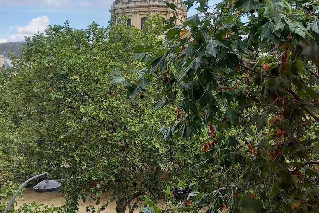 Photo of Others in 7th Arrondissement