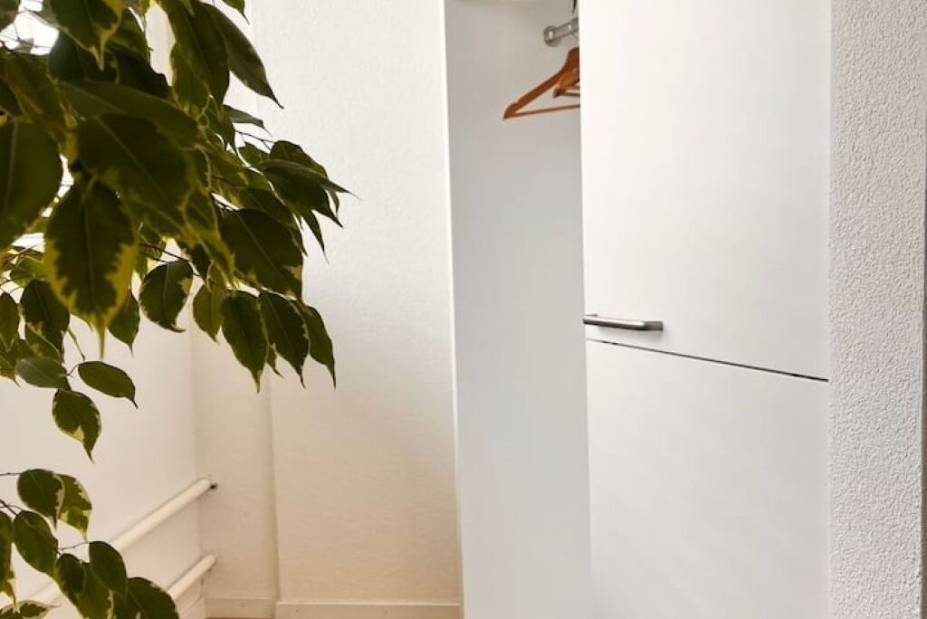 Photo of Others in Olten