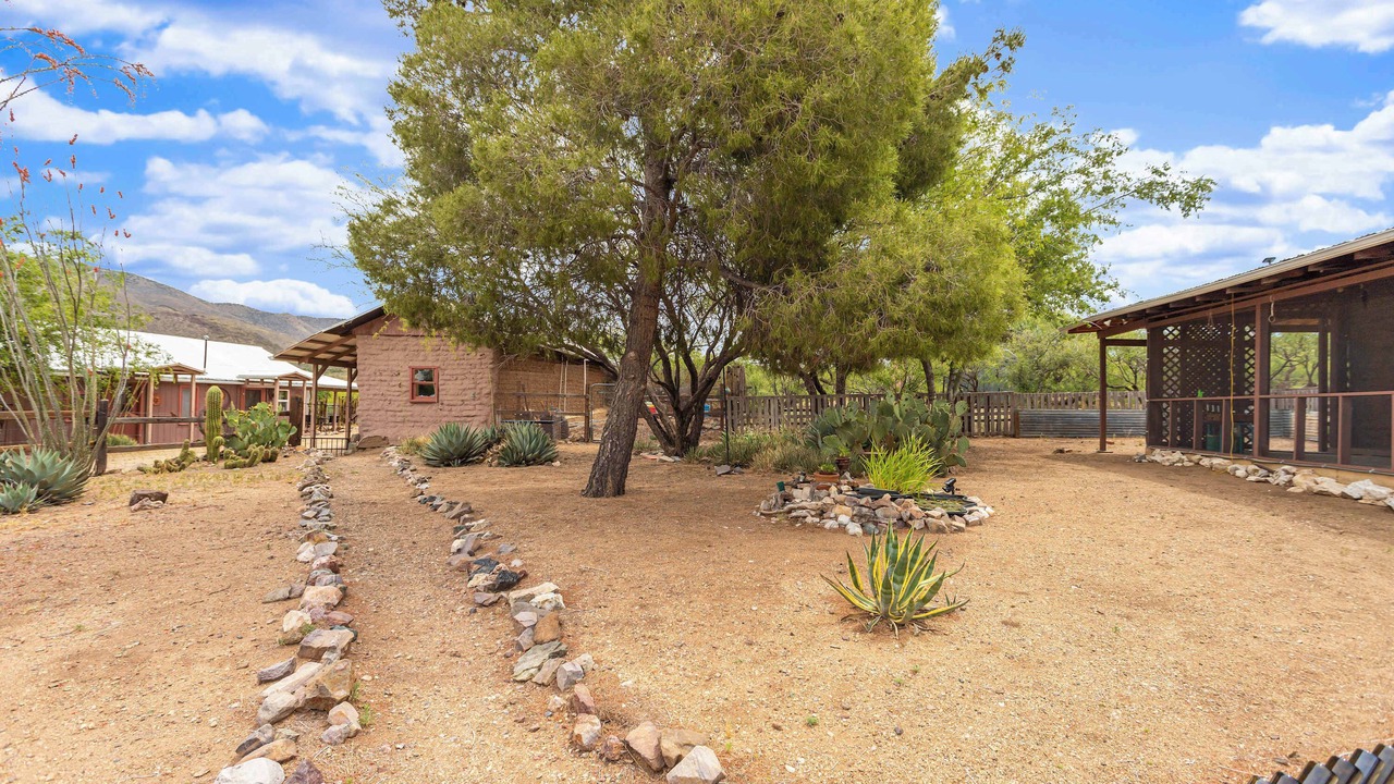 Photo of Outdoor in Willcox