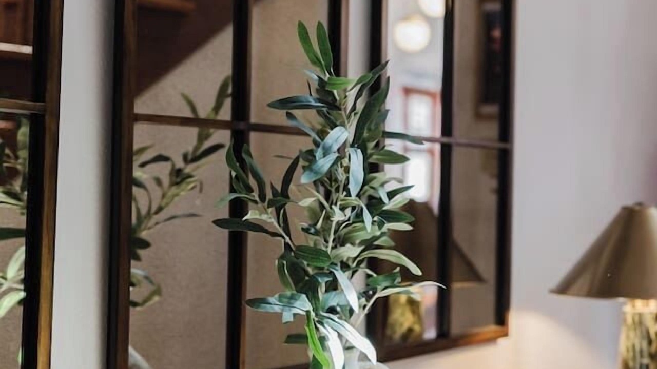 Photo of Others in Bloomington