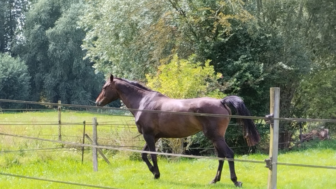 Photo of Others in Agnez-les-Duisans