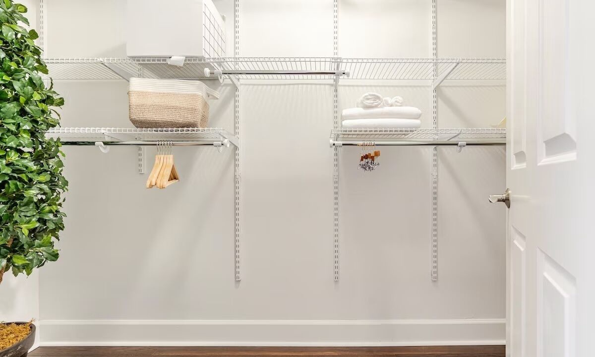 Photo of Others in Lower Queen Anne