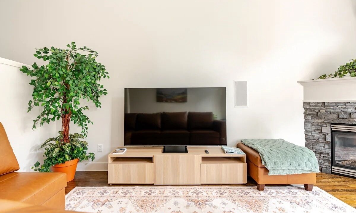 Photo of Others in Lower Queen Anne