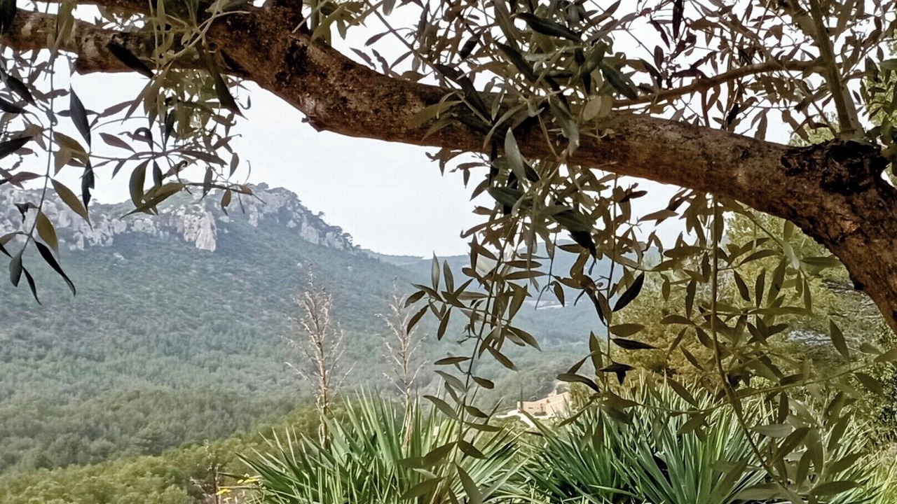 Photo of Outdoor in Evenos