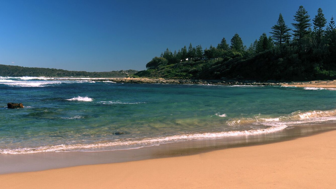 Photo of Others in Central Coast