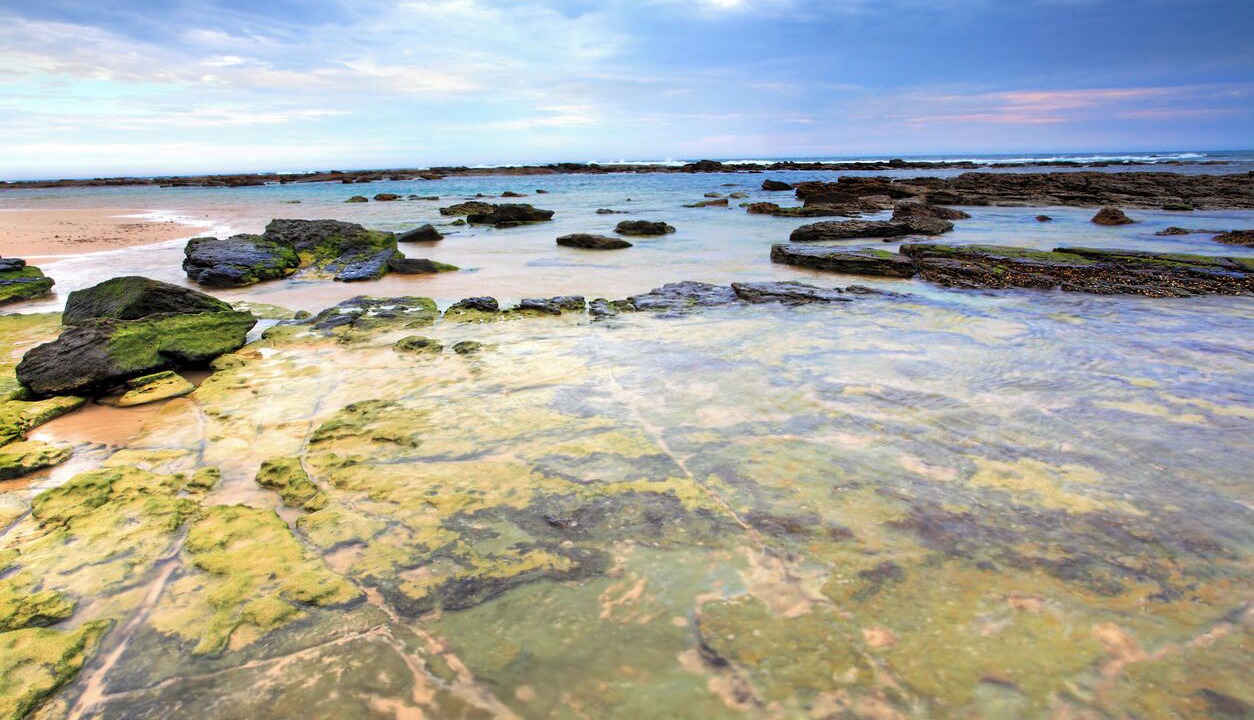 Photo of Others in Central Coast